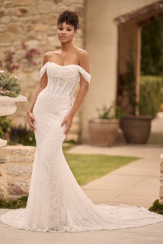 Sophia Tolli Wedding Dress Y3175